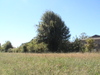 DSC09666
